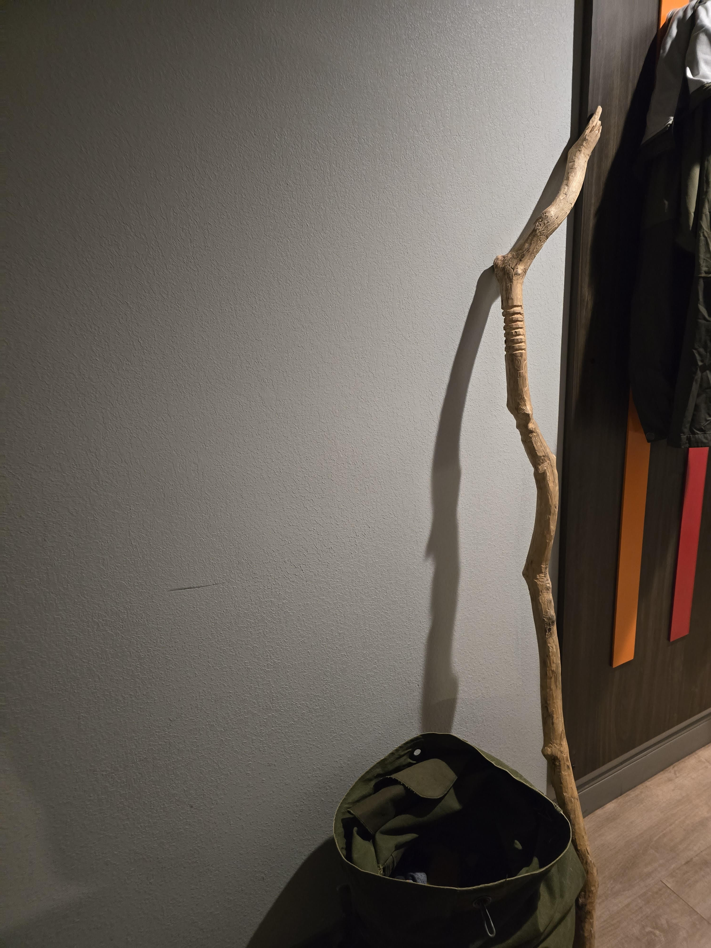 The Sage Staff of Revolution